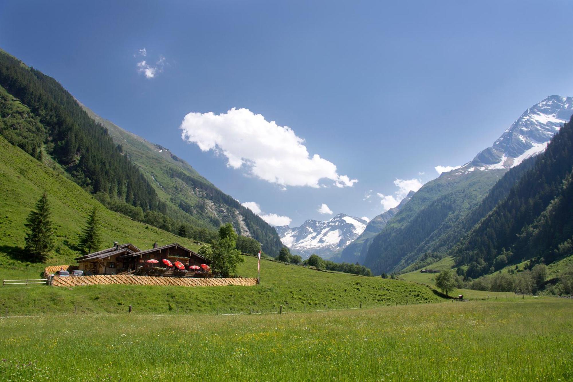 Senninger Alm Bed & Breakfast Hollersbach im Pinzgau Dış mekan fotoğraf